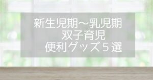 新生児～乳児期　双子育児便利グッズ　アイキャッチ画像