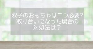 双子のおもちゃはふたつ必要？アイキャッチ画像