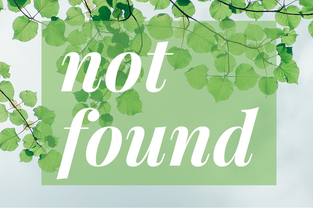 not found (1)
